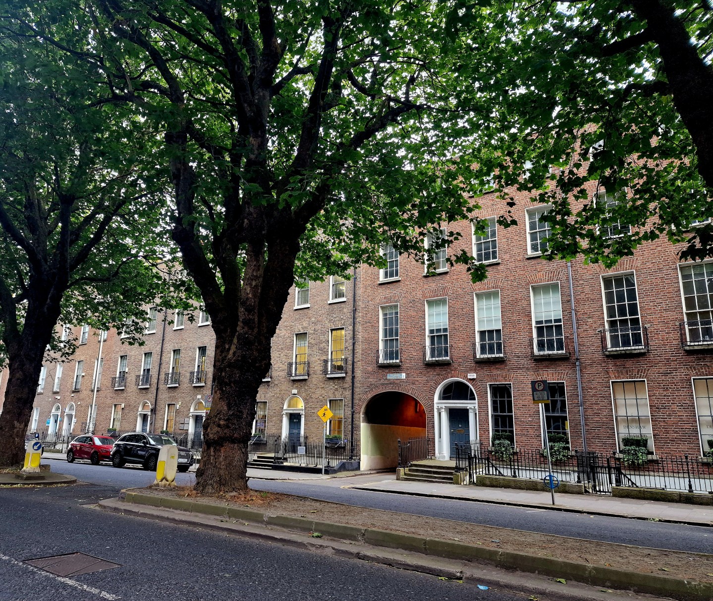 Trees overlooking Georgian houses in Dublin