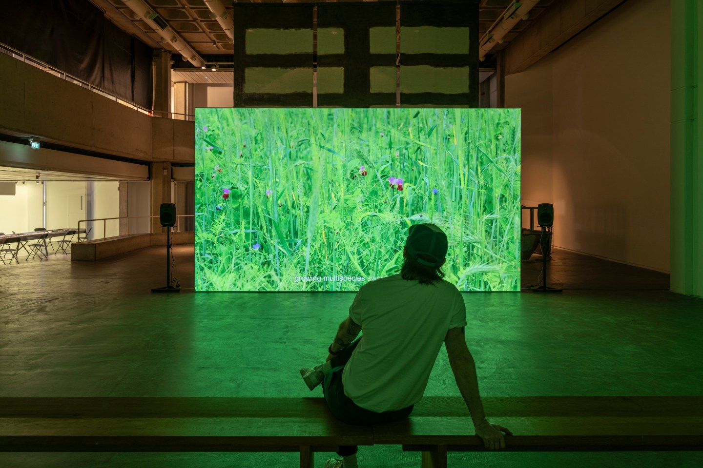 Man sitting on front of a Green Screen at the Douglas Hyde Gallery