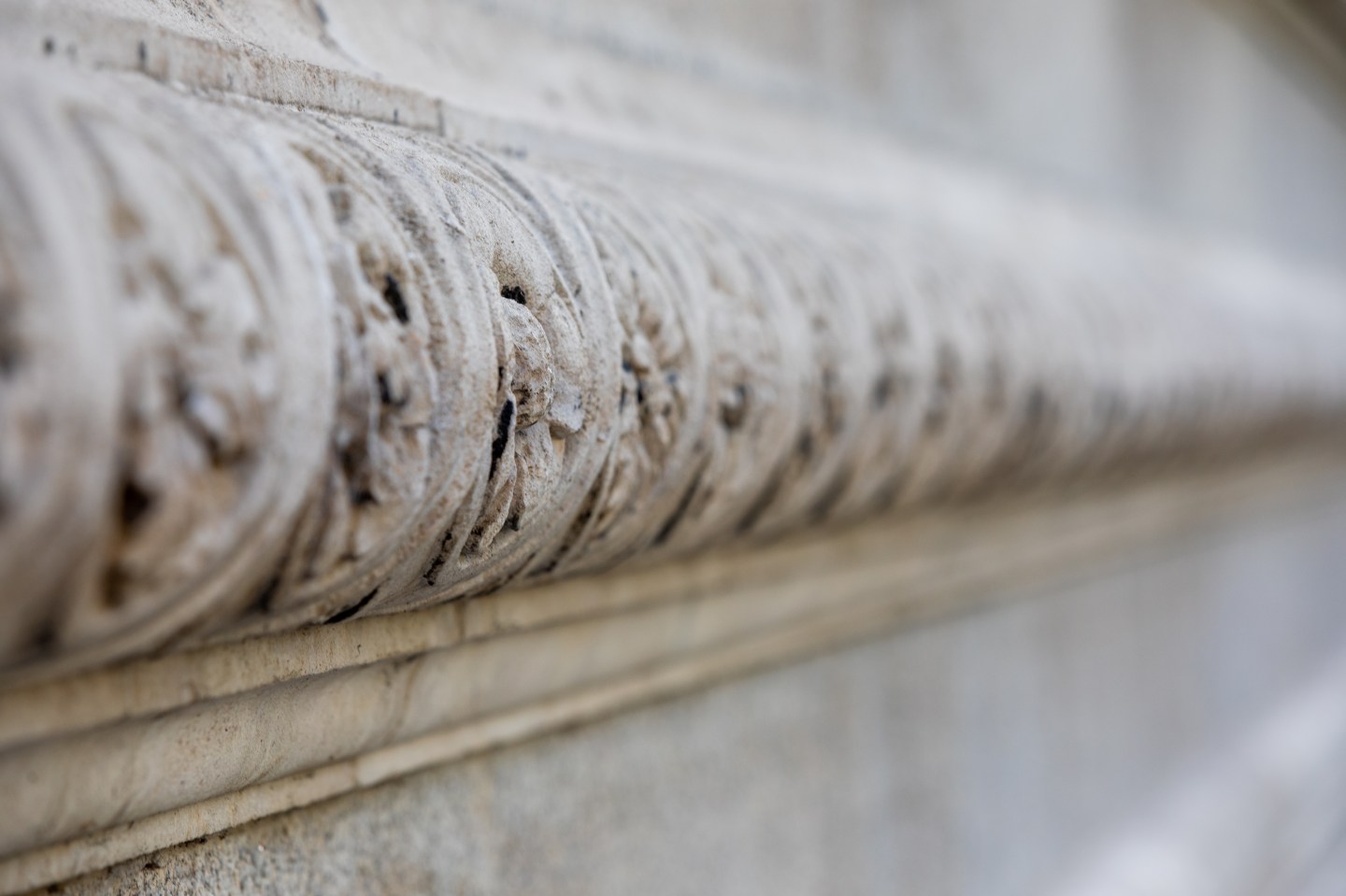 Row of carvings, Museum Building stonework